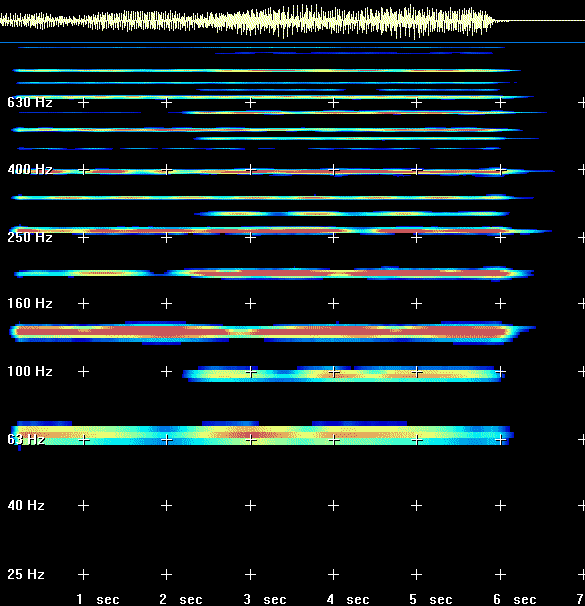 Sonogram of organ sound